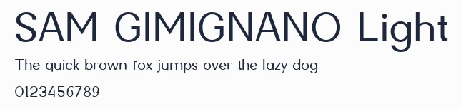 SAM GIMIGNANO Light預覽圖