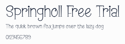 Springholl Free Trial預覽圖