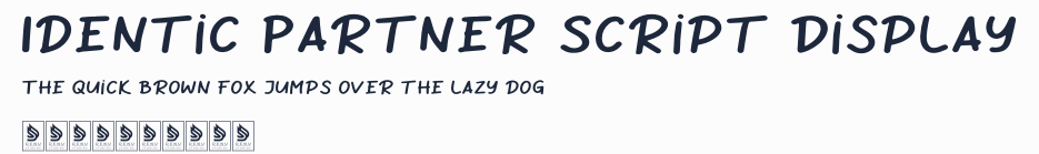 Identic Partner Script Display