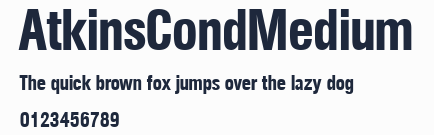 AtkinsCondMedium預覽圖