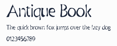 Antique Book預覽圖