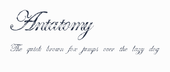 Antatomy預覽圖