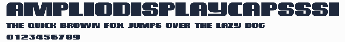 AmplioDisplayCapsSSi預覽圖