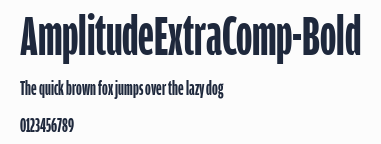 AmplitudeExtraComp-Bold