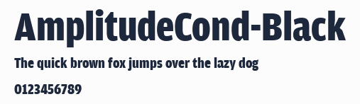 AmplitudeCond-Black