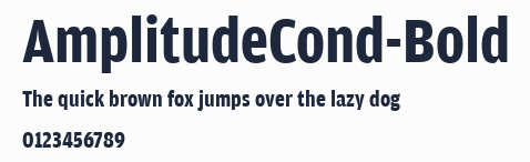 AmplitudeCond-Bold