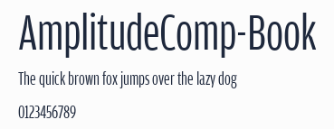 AmplitudeComp-Book