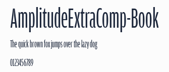 AmplitudeExtraComp-Book