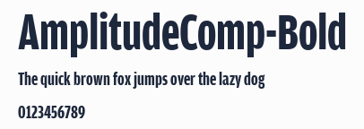 AmplitudeComp-Bold