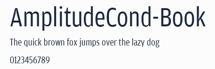 AmplitudeCond-Book