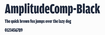 AmplitudeComp-Black
