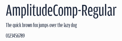 AmplitudeComp-Regular