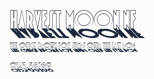 Harvest Moon NF預覽圖