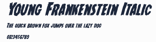 Young Frankenstein Italic