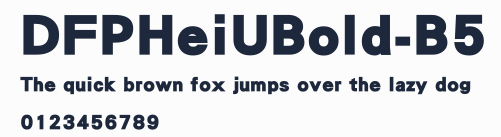 DFPHeiUBold-B5預覽圖
