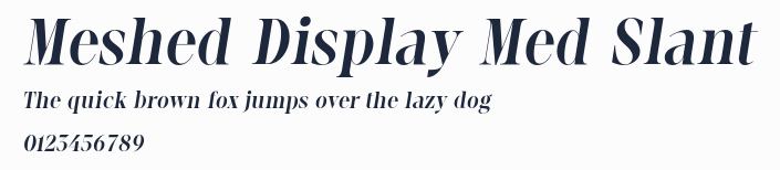 Meshed Display Med Slant