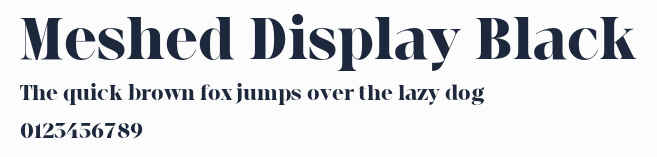 Meshed Display Black