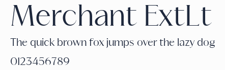 Merchant ExtLt