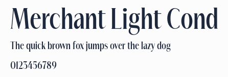 Merchant Light Cond