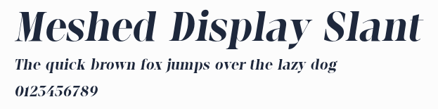 Meshed Display Slant