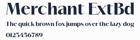 Merchant ExtBd