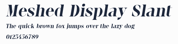 Meshed Display Slant
