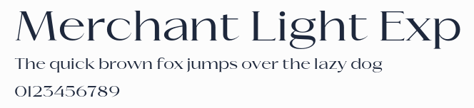 Merchant Light Exp