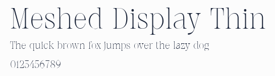 Meshed Display Thin
