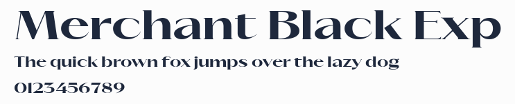 Merchant Black Exp
