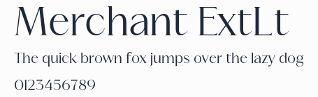 Merchant ExtLt