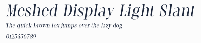 Meshed Display Light Slant
