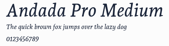 Andada Pro Medium