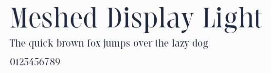 Meshed Display Light
