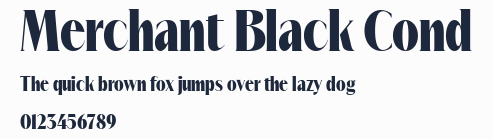 Merchant Black Cond