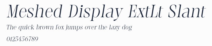 Meshed Display ExtLt Slant