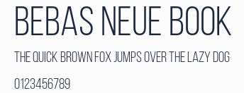 Bebas Neue Book