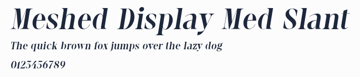 Meshed Display Med Slant