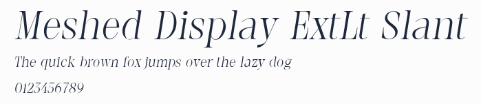 Meshed Display ExtLt Slant