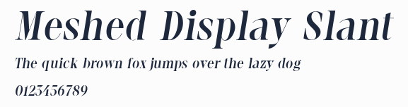 Meshed Display Slant