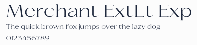 Merchant ExtLt Exp