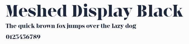 Meshed Display Black