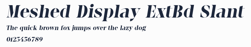 Meshed Display ExtBd Slant