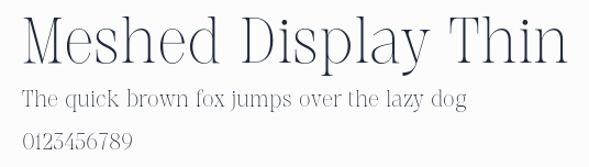 Meshed Display Thin