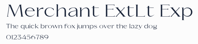 Merchant ExtLt Exp