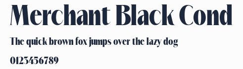 Merchant Black Cond