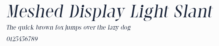 Meshed Display Light Slant