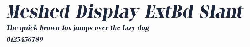 Meshed Display ExtBd Slant
