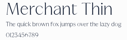 Merchant Thin