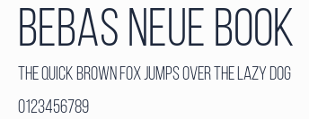 Bebas Neue Book