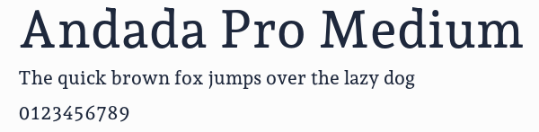 Andada Pro Medium